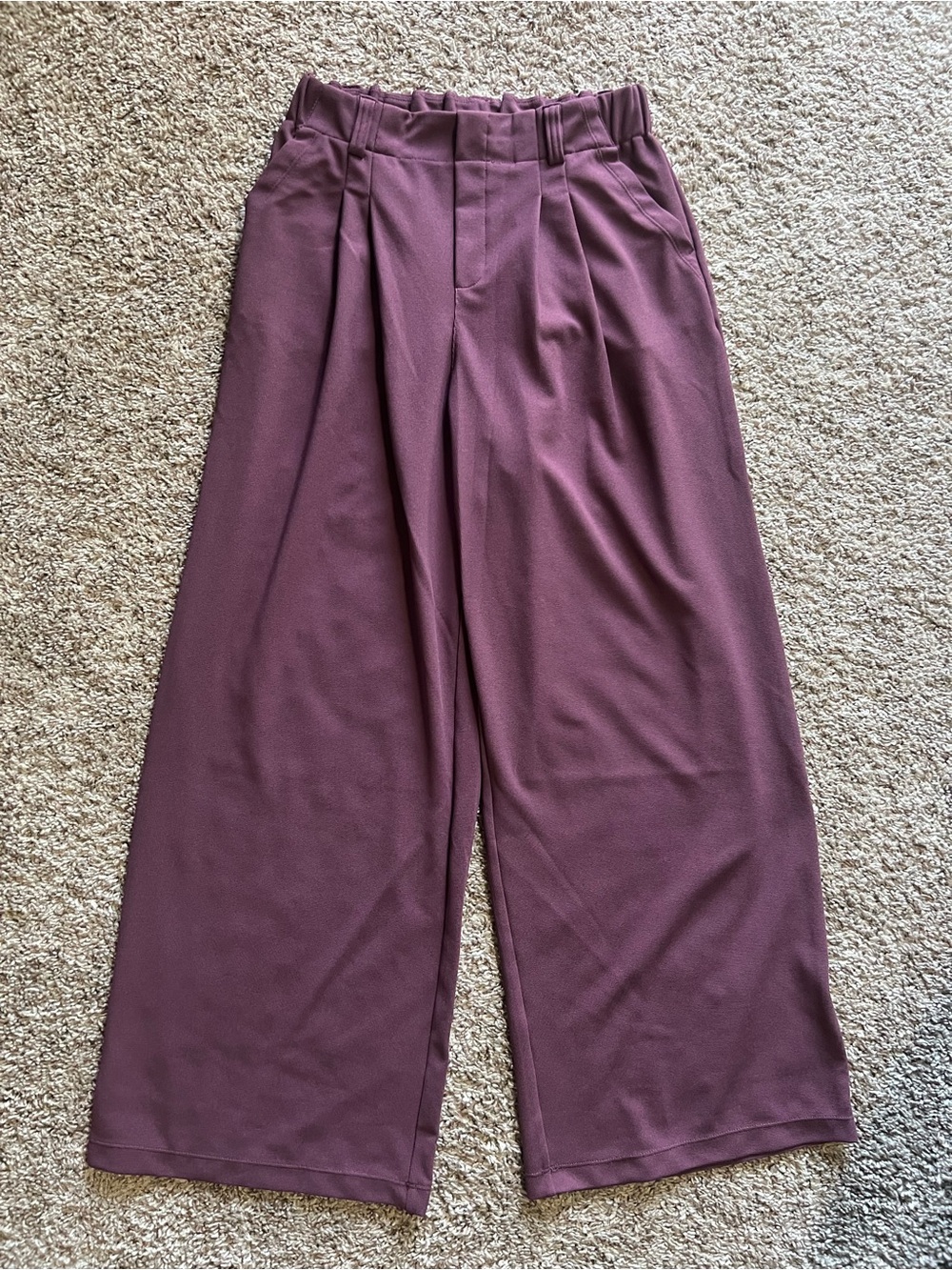 HALARA Deep Plum Wide-Leg Pants